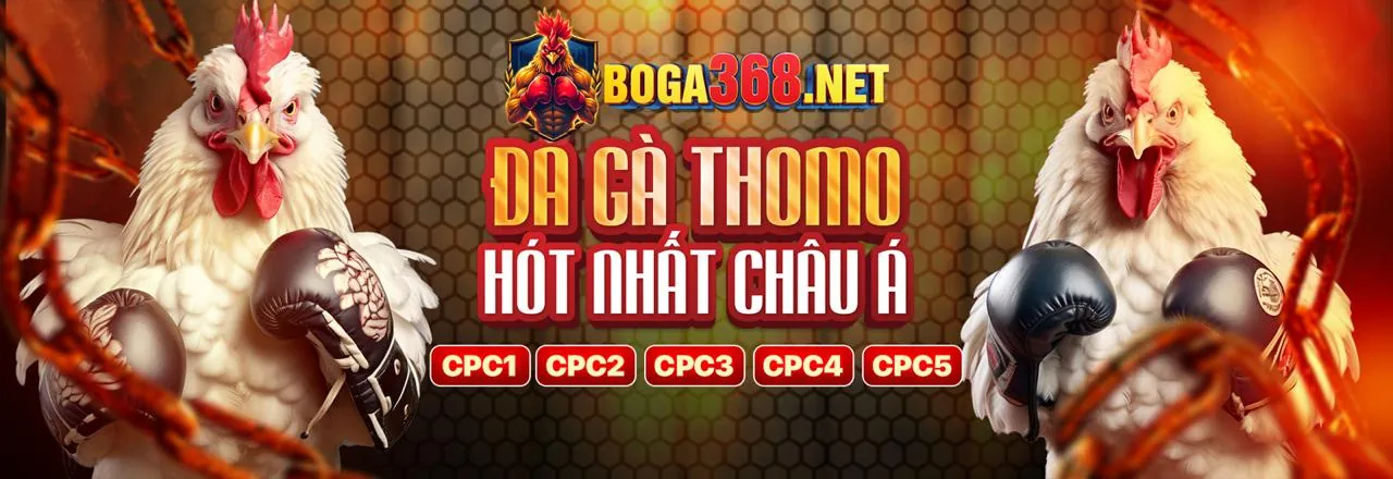 Đá gà trực tiếp tại Bong365